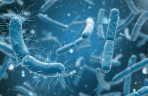 Das Mikrobiom: Unerforschtes Multitalent Untermietern besiedeln unseren Körper -Billionen von Mikroben www.barrierefrei-beratung.at | foto freepik