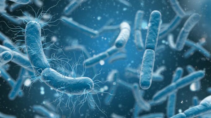 Das Mikrobiom: Unerforschtes Multitalent Untermietern besiedeln unseren Körper -Billionen von Mikroben www.barrierefrei-beratung.at | foto freepik